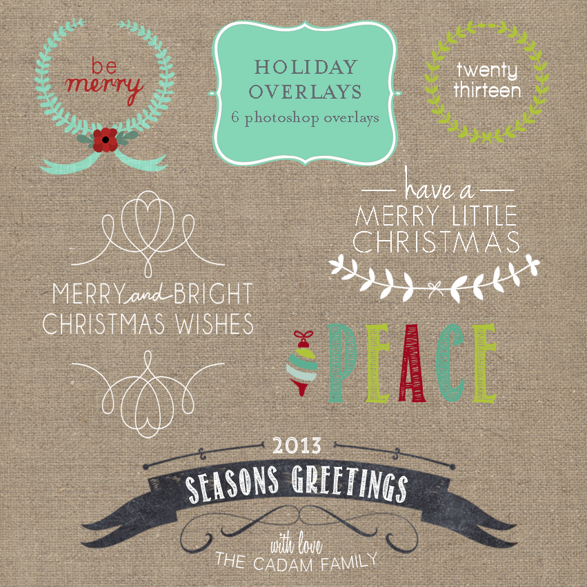 trifol business card template prodpi extended 25 sassy ink studio 2013 holiday card template trifol business card template prodpi extended 25 sassy ink studio 2013 holiday card template